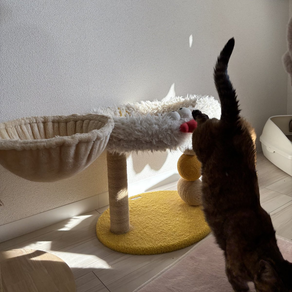 もう夕方なので
太陽は売り切れましたと伝えました☁️