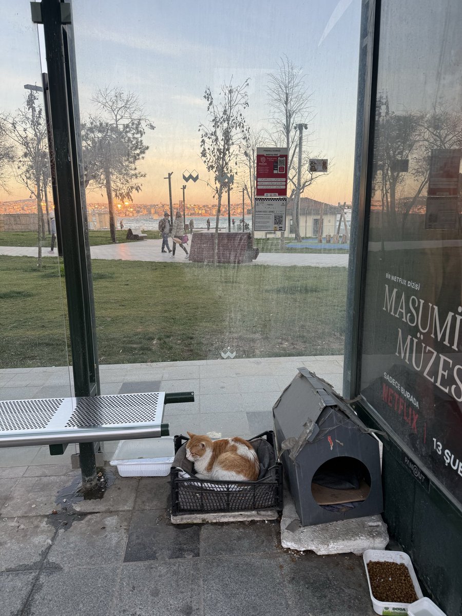 furkann (@furkanfiero) on Twitter photo 