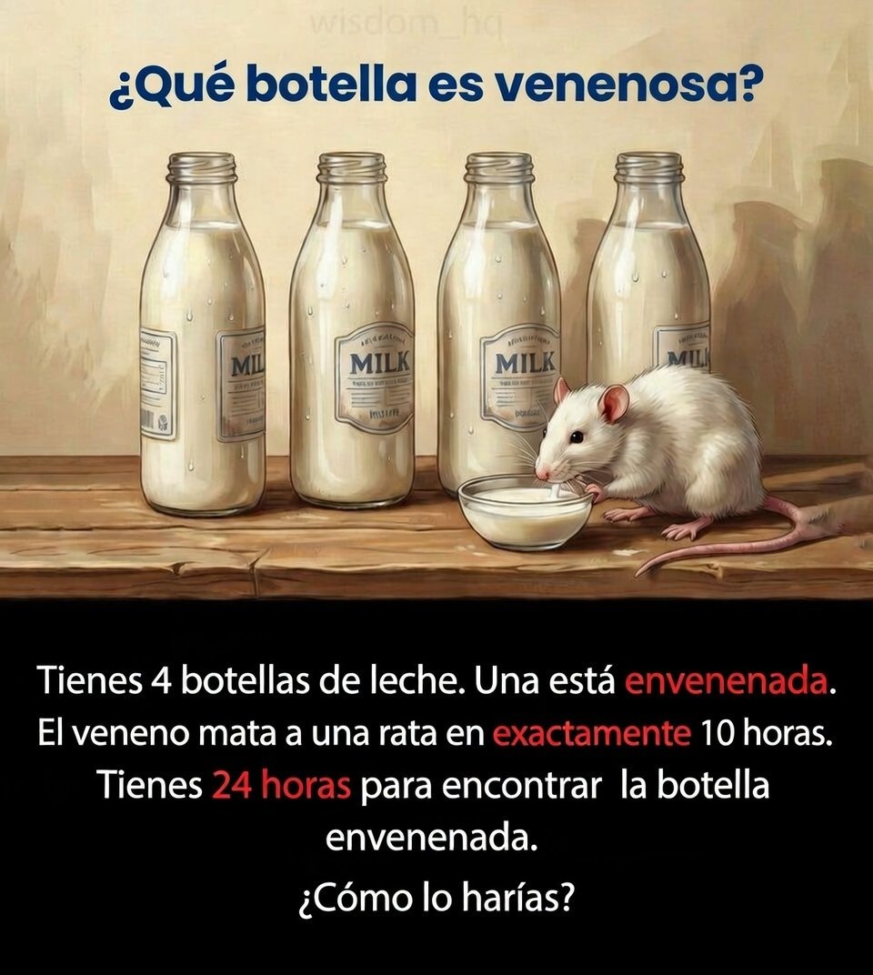 Álvaro J tweet media