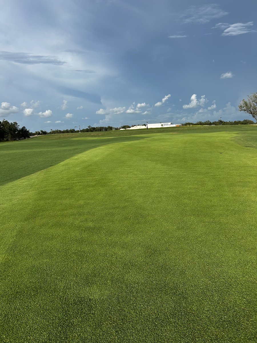 FarmerGolfNtUrf's tweet photo. CitraZoy mini-rolls now available at Star Turf Farms! CitraZoy is Florida's leading Zoysia with extreme disease resistance and great color retention during cold patterns! From Golf Course & Sports Fields to Residential applications let me know if we can help! #STARTURF #CITRAZOY https://t.co/DS29iV9hJq