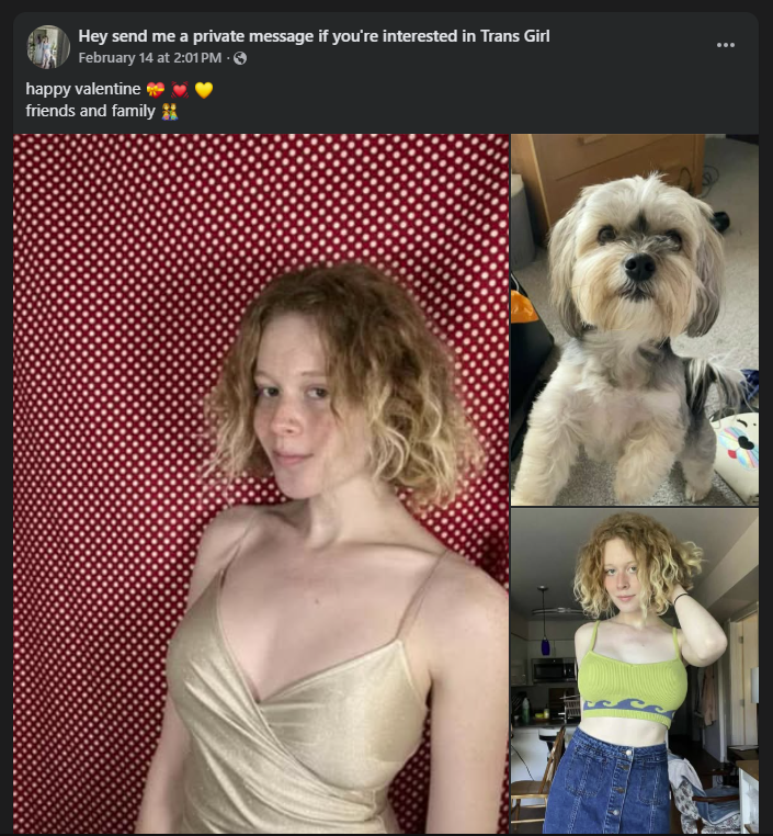 GarbageTierSPM's tweet photo. @alliet659 Hey, is this you? 'Cause if not, looks like someone's stealing your pictures.
(Yes, I recognized you instantly. That's not important right now.) https://t.co/DSgLCt4uvK