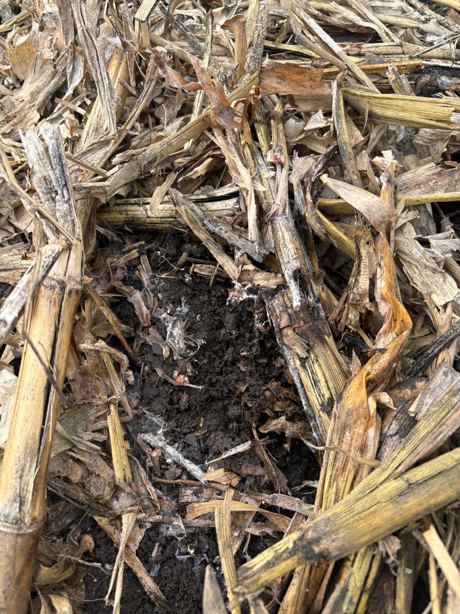 Calibrated Agronomy tweet media