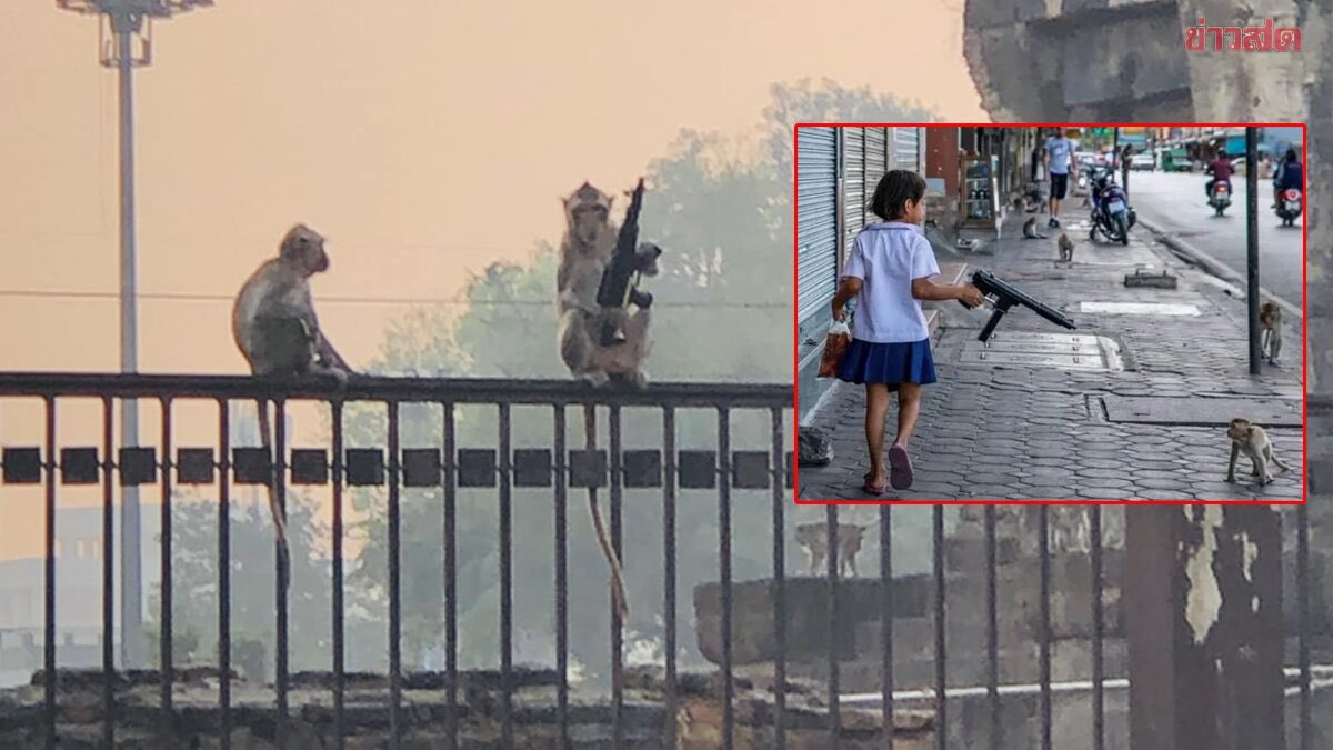 #.เซฟพั้นคุง
#.องครักษ์พิทักษ์ลิง
#.ลิงแก่ต้องหมดไป
#.ใจนักเลง