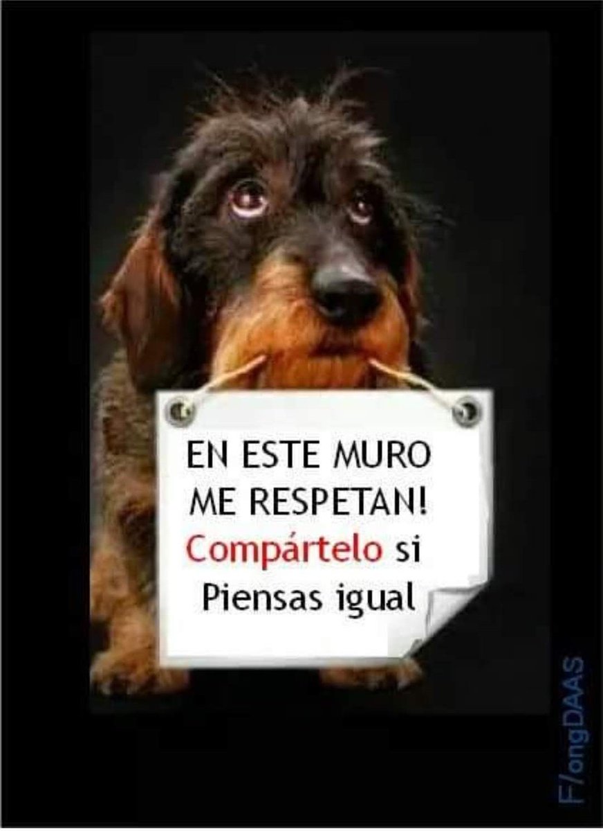 Manu Saenz💛💛 tweet media