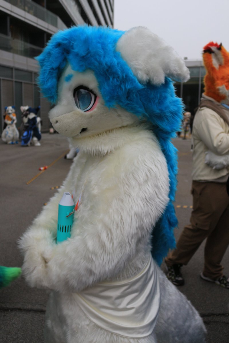 是政　KOREMASA tweet media