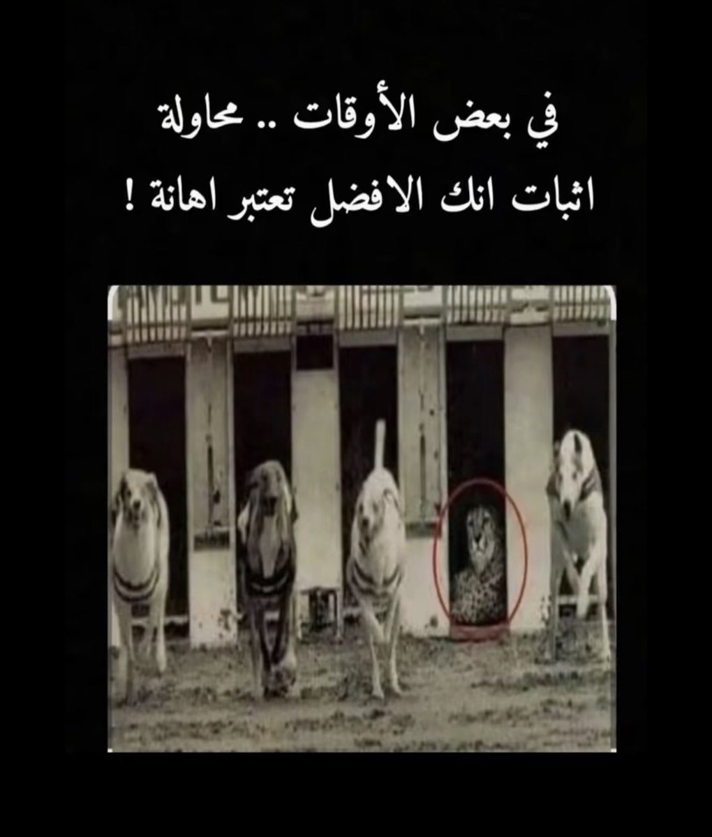 دايــم tweet media