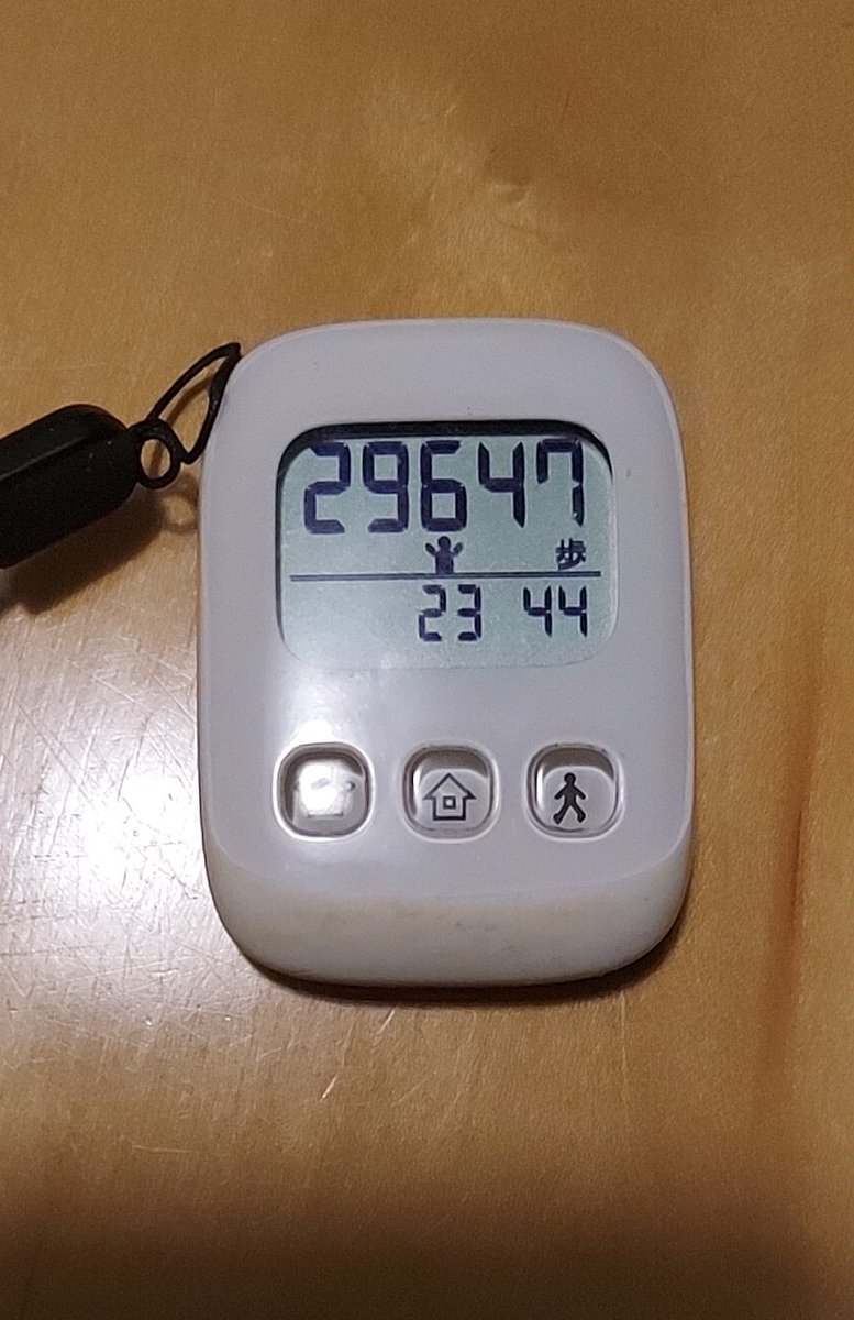 惜しい。あともうちょっとで3万歩に達したのに(^_^;)