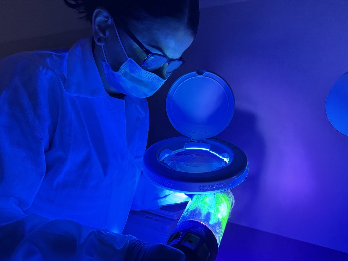 Polska Policja 🇵🇱 tweet media