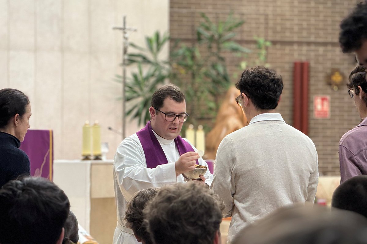 Colegio Mayor Alcalá tweet media