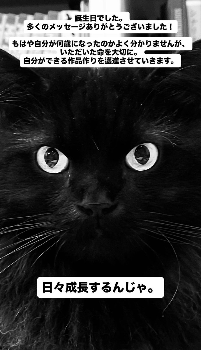 金子智明(映像監督/D金子) tweet media