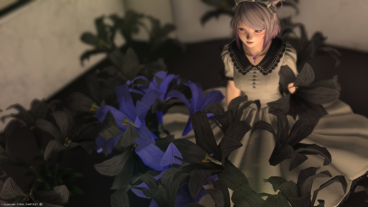 羽夢咲 りの🐹💜フライドチキンで歯がなくなったVtuber (@Rinox1202