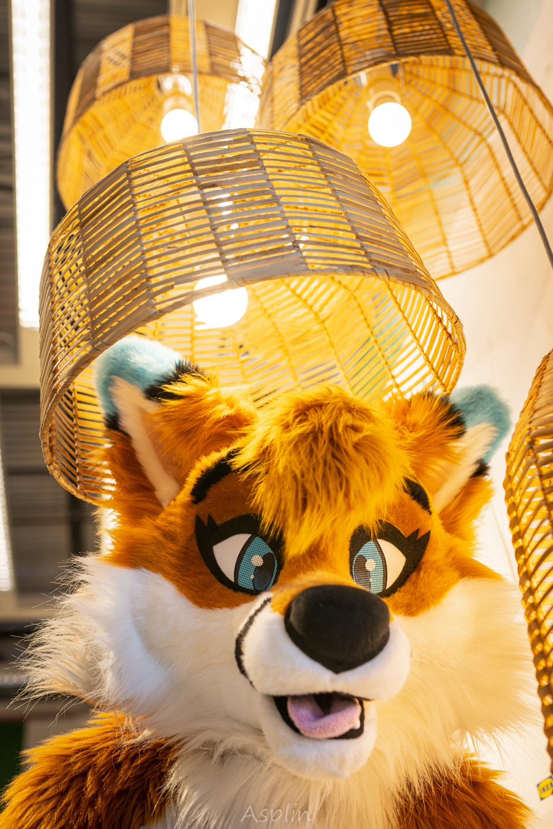 Autumn 🦊🔜TFF tweet media