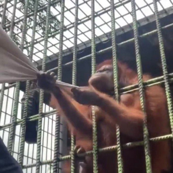 <a href="/john322226/">lobistars🇳🇬</a> <a href="/ToheebAyomide2/">Ayo | Farm Tribe by AY 🌾🍫🫚</a> Done ✅ 
8120303160
Opay 

Thanks so much