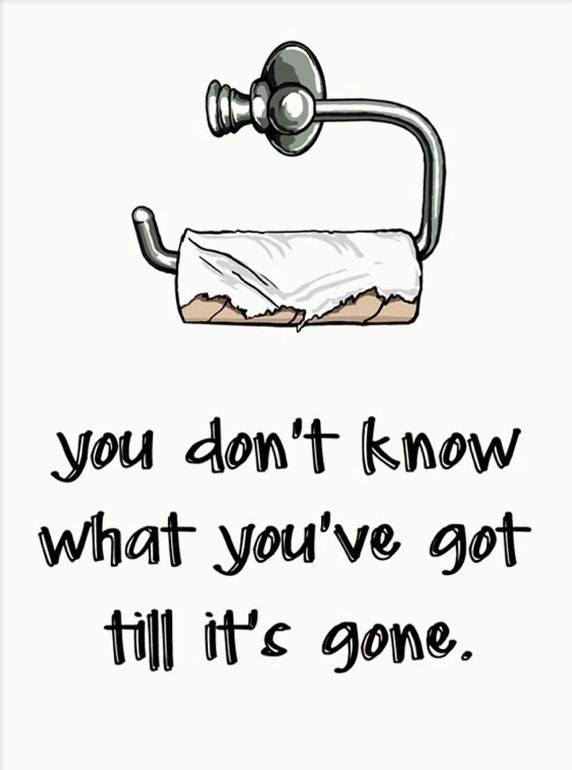 gm CT 
Grab a $wipe token today.