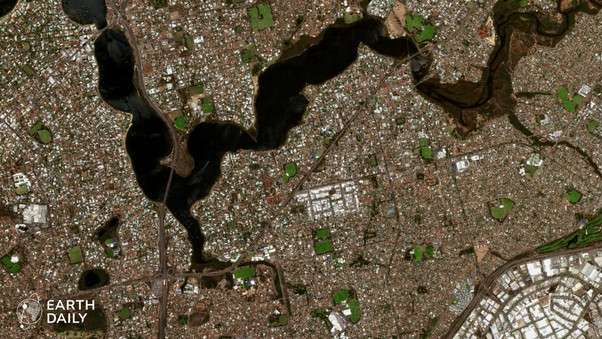 Robin Cole tweet media