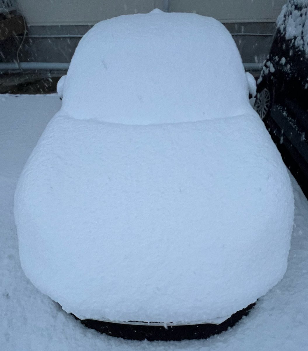 今年1番の雪☃️
モッコモッコ☺️