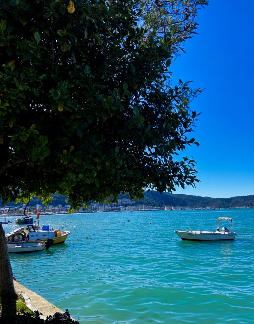 gulayyby's tweet photo. şubatta fethiye 🩵 https://t.co/vJNUI5qsRc