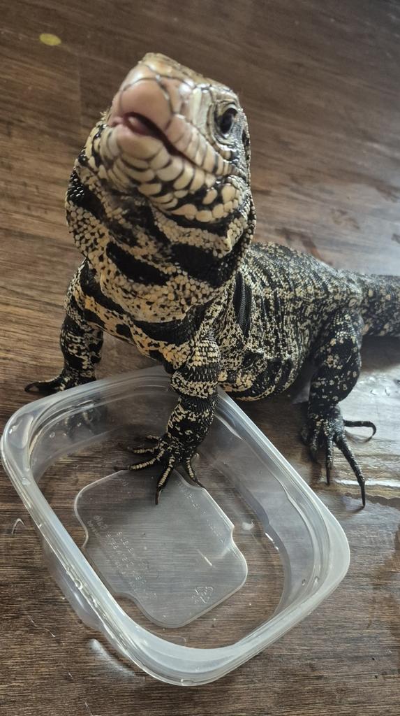 Cin_poet tweet media