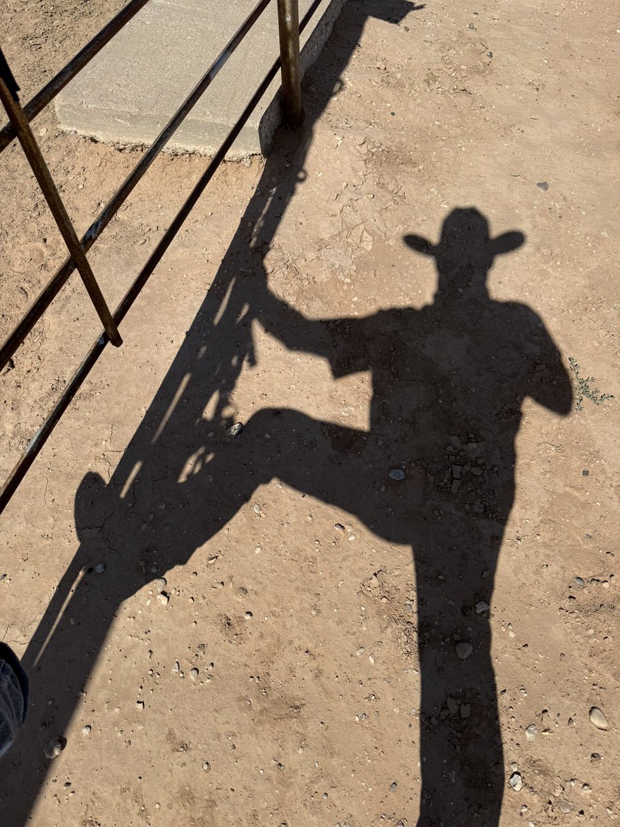 Patrick Dorinson tweet media