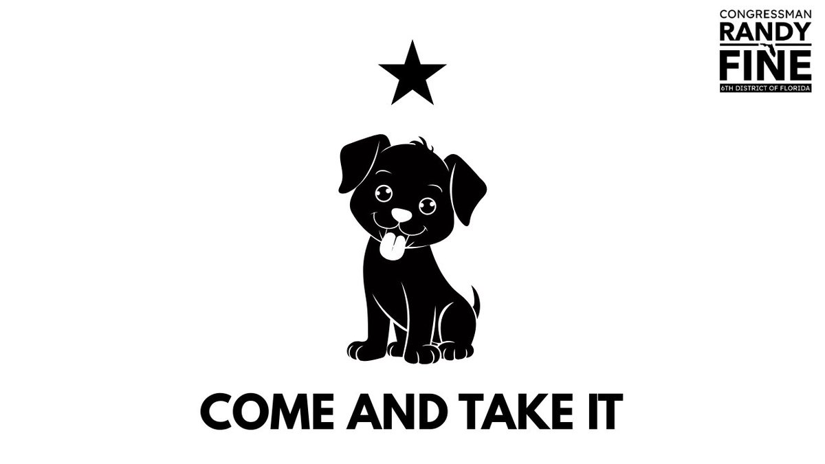 Congressman Randy Fine tweet media