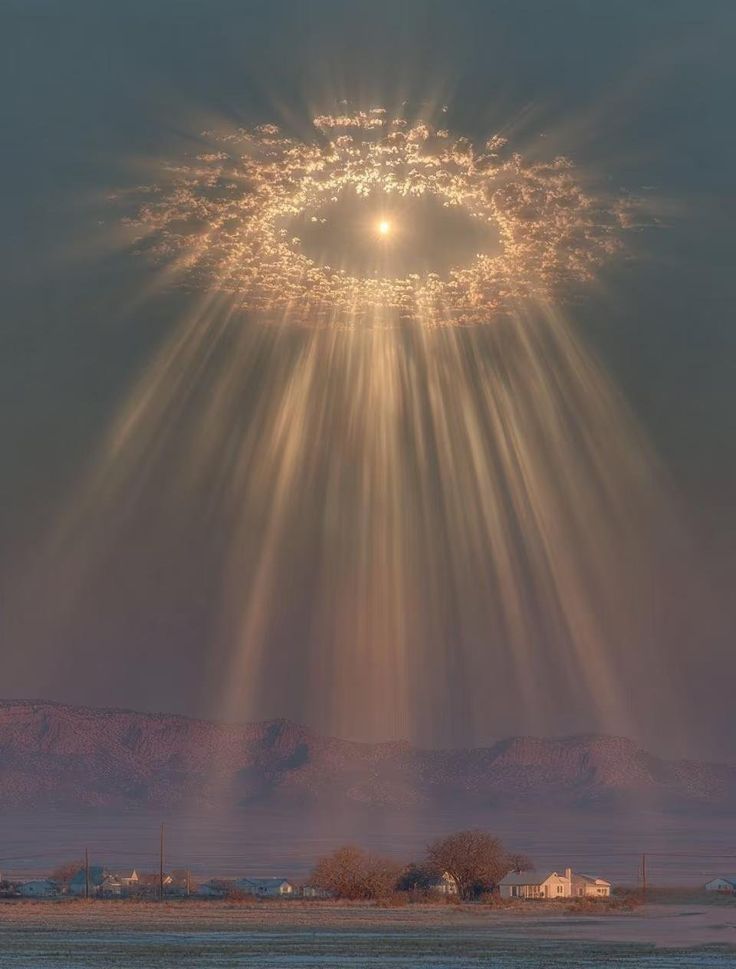 aestheticspost_'s tweet image. 