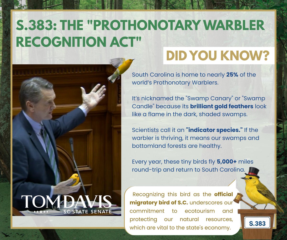 Tom Davis tweet media