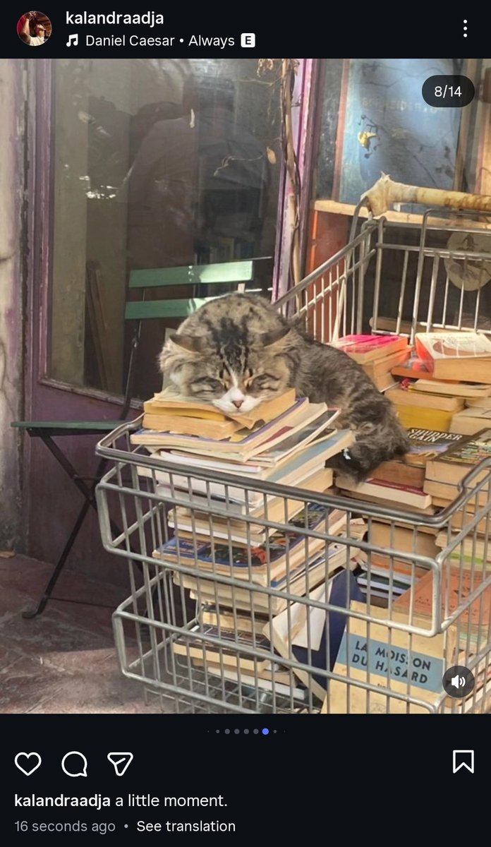 cacicuceco. lowkey S2 on ig! tweet media