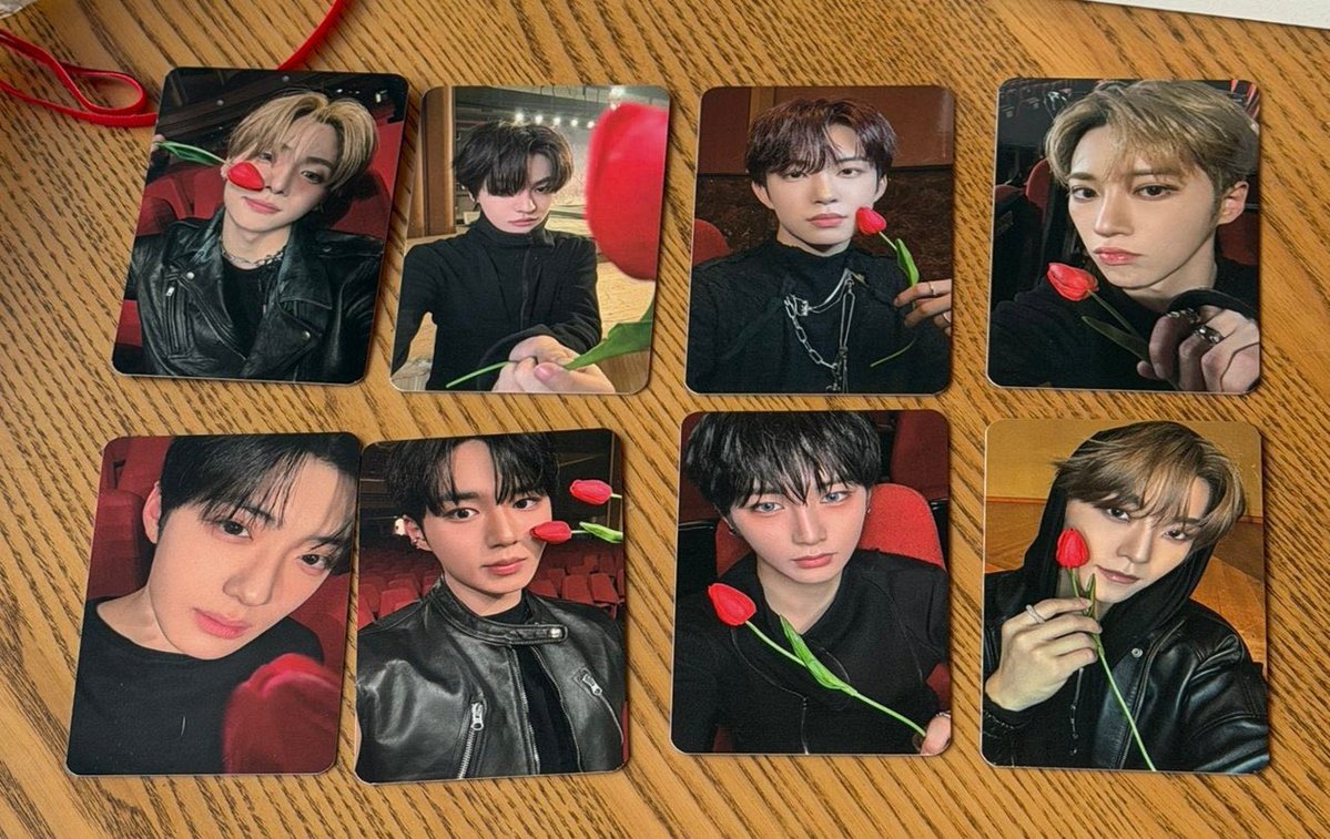 ald1 100日記念 サノク トレカ 共同購入 譲り▶︎リオ アンシン ゴヌ