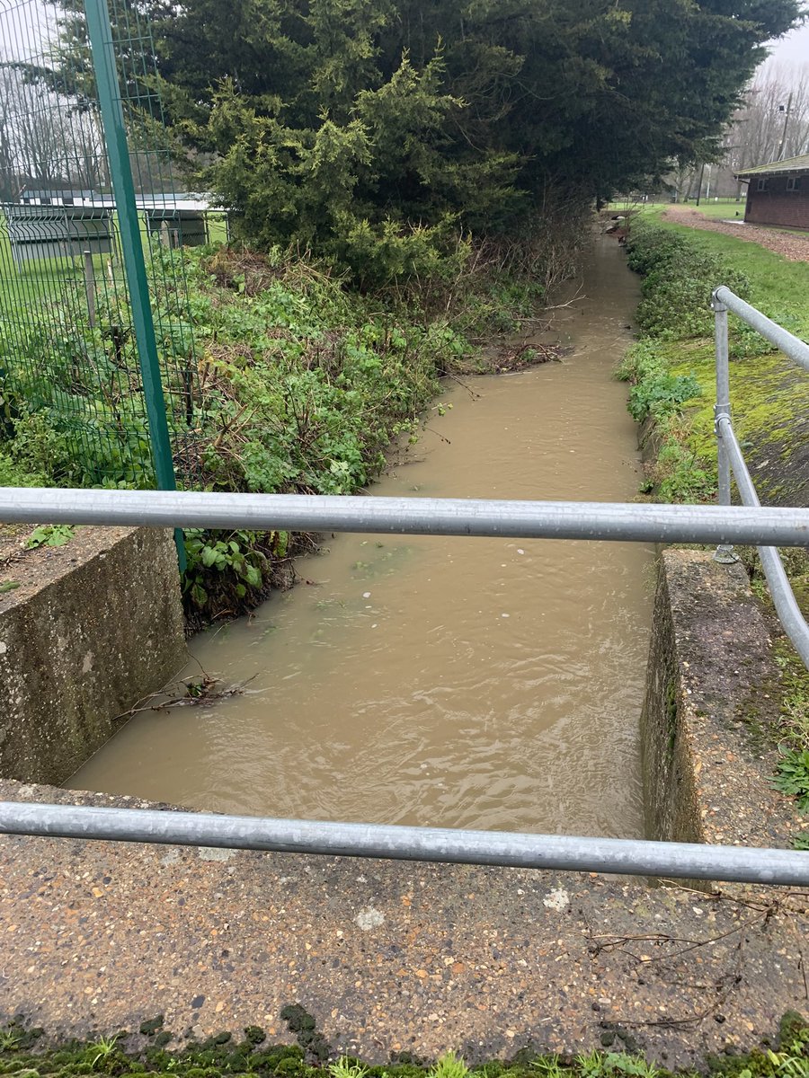 Shaun Soloman 💙 tweet media