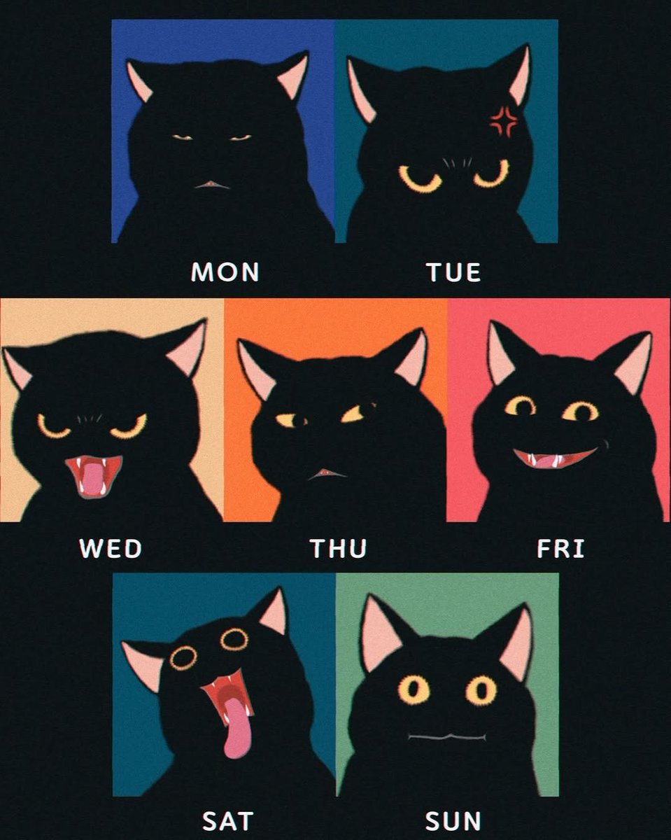 catsareblessing's tweet image. 