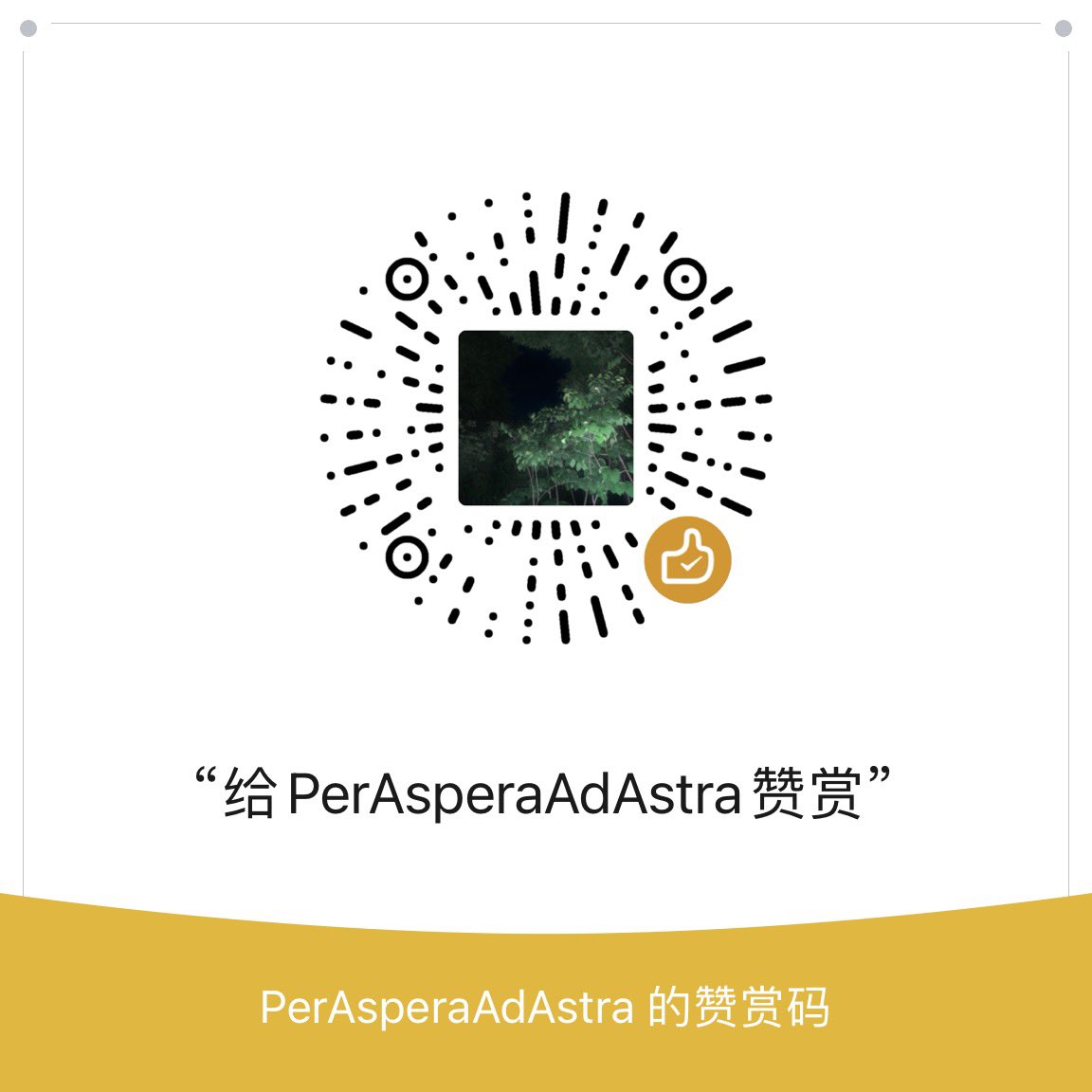 PerAsperaAdAstra tweet media