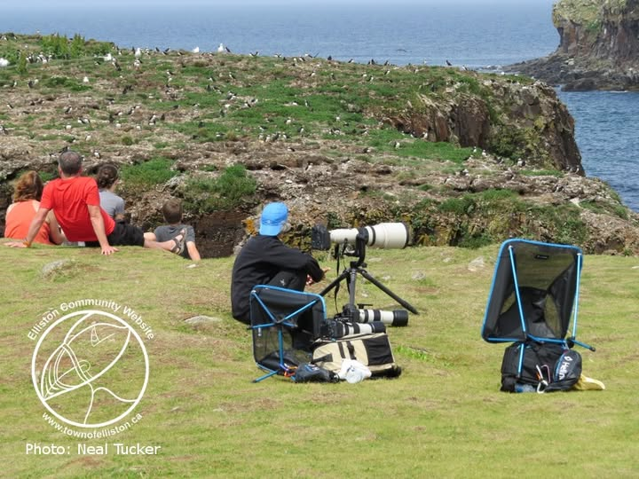 Town of Elliston tweet media