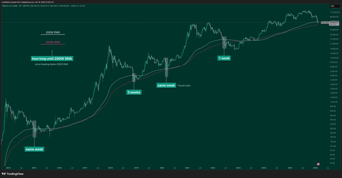 247 Research tweet media