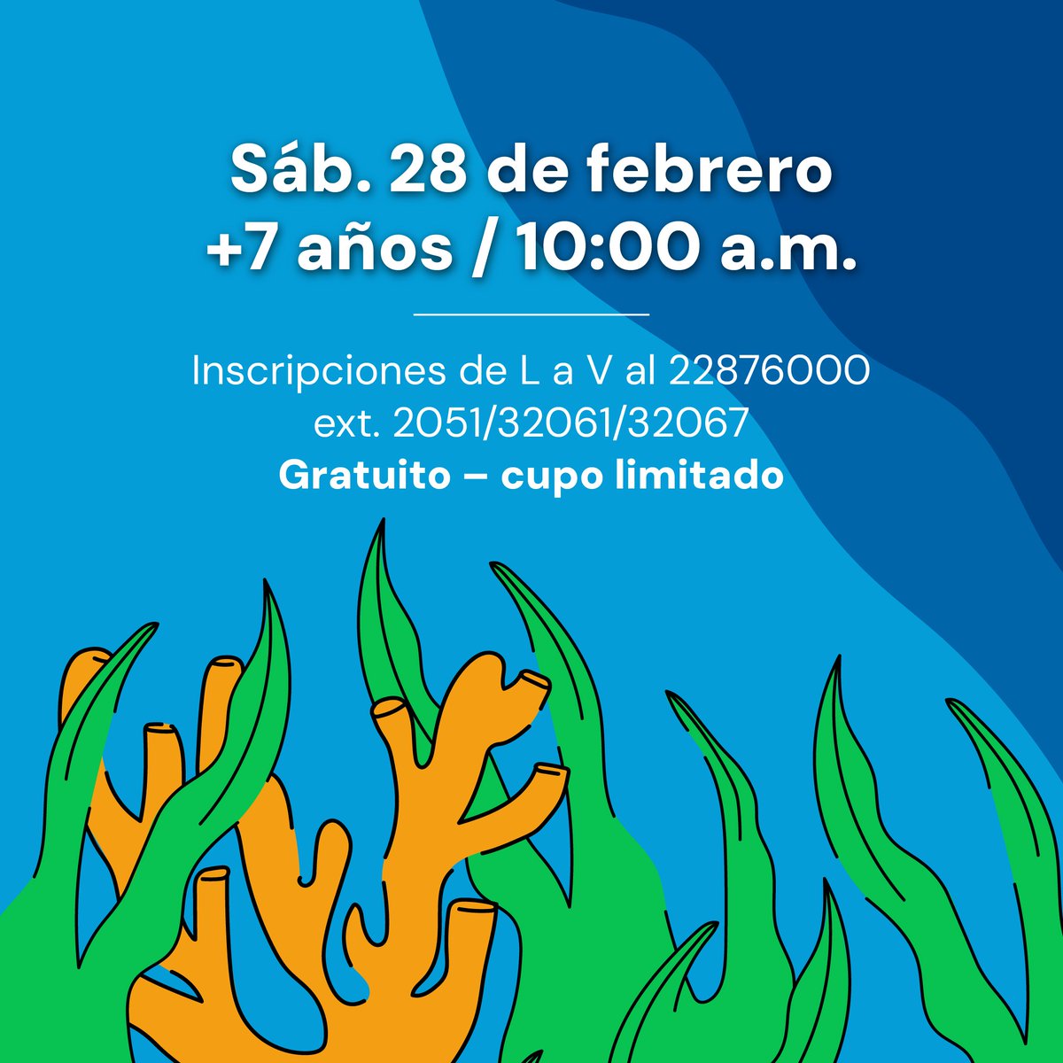 Te invitamos a un taller especial de la Red Nacional de Turismo Científico organizado por la Fundación Paul Watson Costa Rica y la Alianza Mar y Tierra.

👥 +7 años 🎟️ Gratuito 🪑 Cupo limitado

Inscripciones al 📞 2287-6000 ext. 2051 / 32061 / 32073