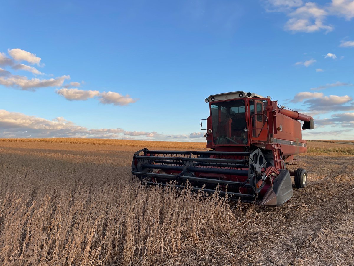 KsSoybean's tweet photo. In the northwest no-till dryland category Lauren Kats, Phillips county, placed first with 41.3 bushel-per-are @Asgrow_DEKALB 37XF1 soybeans.

Find the full results at https://t.co/n05YLEVteW. https://t.co/38CvmD2rHf