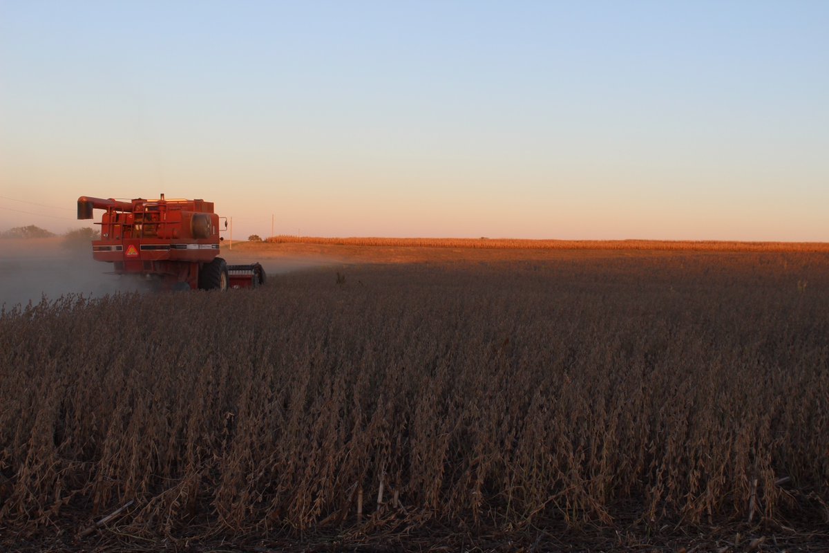 KsSoybean's tweet photo. In the northwest no-till dryland category Lauren Kats, Phillips county, placed first with 41.3 bushel-per-are @Asgrow_DEKALB 37XF1 soybeans.

Find the full results at https://t.co/n05YLEVteW. https://t.co/38CvmD2rHf