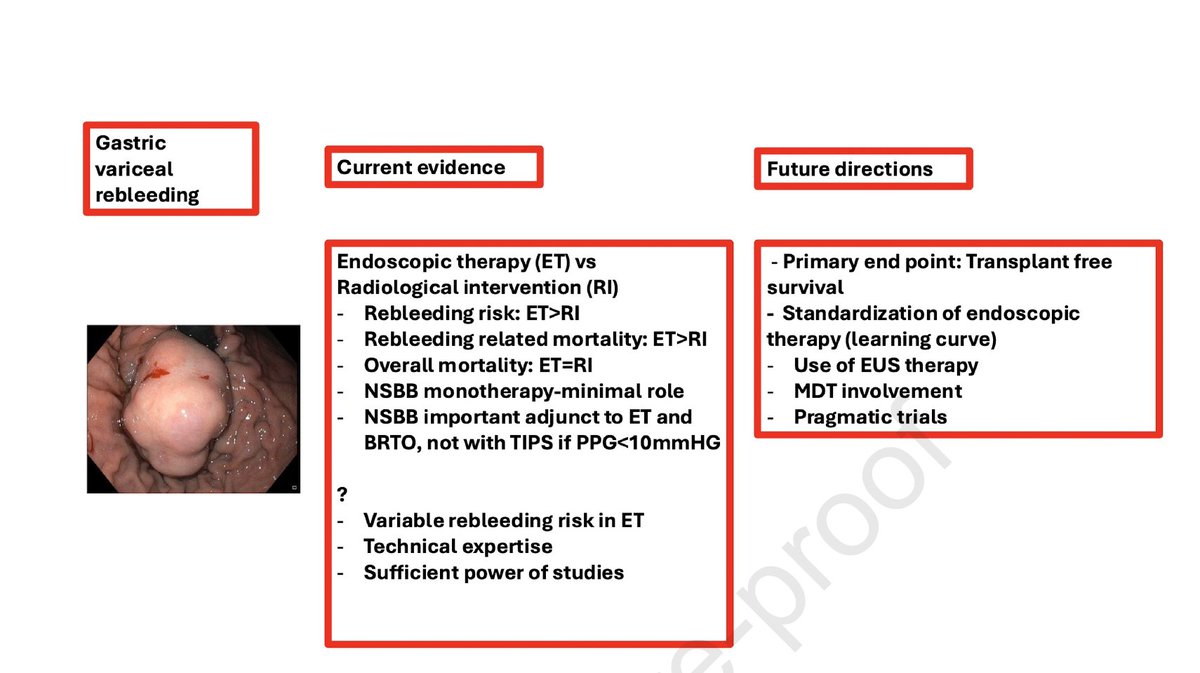 Shalimar tweet media