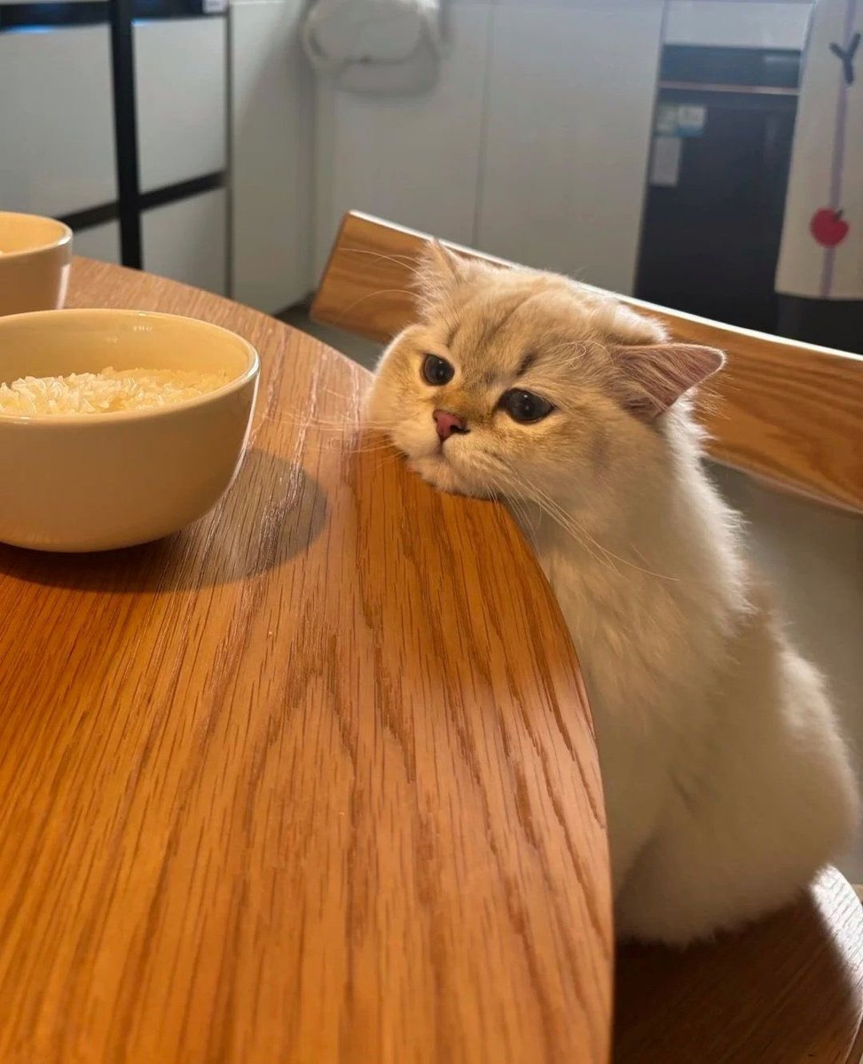 มาค้าบรับสมัครพี่เลี้ยงจำนวนมากก  #แลกฟอลรออินคุณ