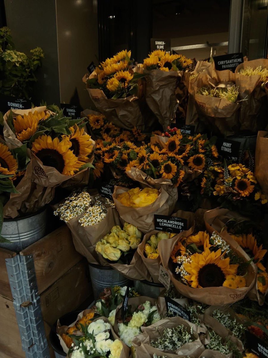 sunflowerchives's tweet photo. something that makes you happy? https://t.co/GSfFf6xRUo