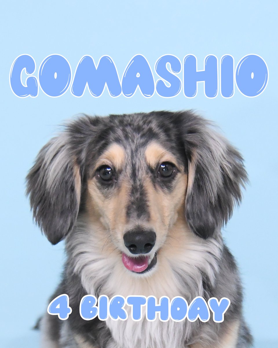 ⠀⠀⠀⠀⠀⠀❤︎⑅⁺˖ •.❥ ꕤ…˖* 𝐇𝐚𝐩𝐩𝐲 ⚘⠜ 𝐁𝐢𝐫𝐭𝐡𝐝𝐚𝐲