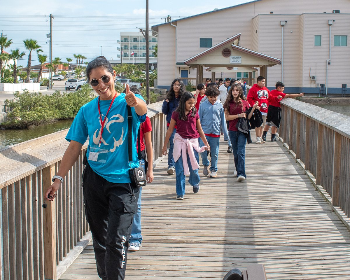 Sea Turtle, Inc. tweet media