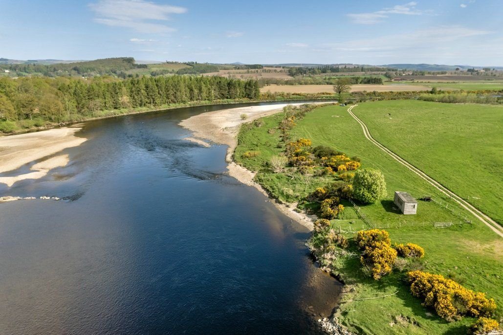 Iain Cameron tweet media