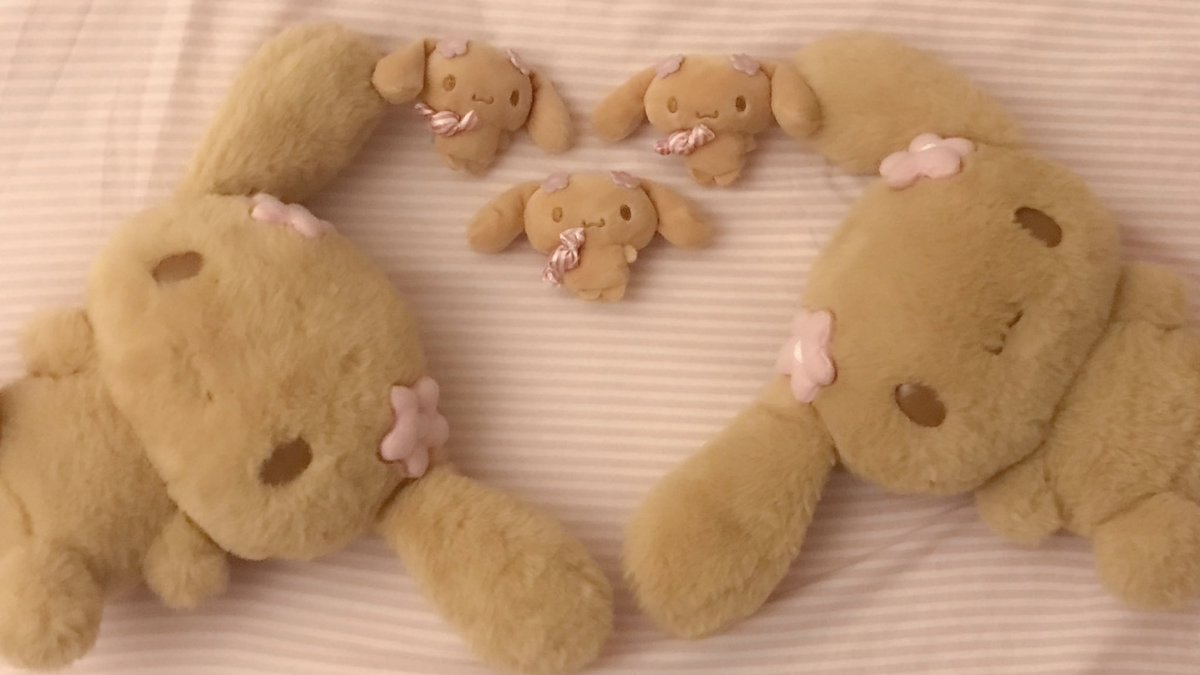モカちゃん᧔o᧓ お誕生日おめでとう♡