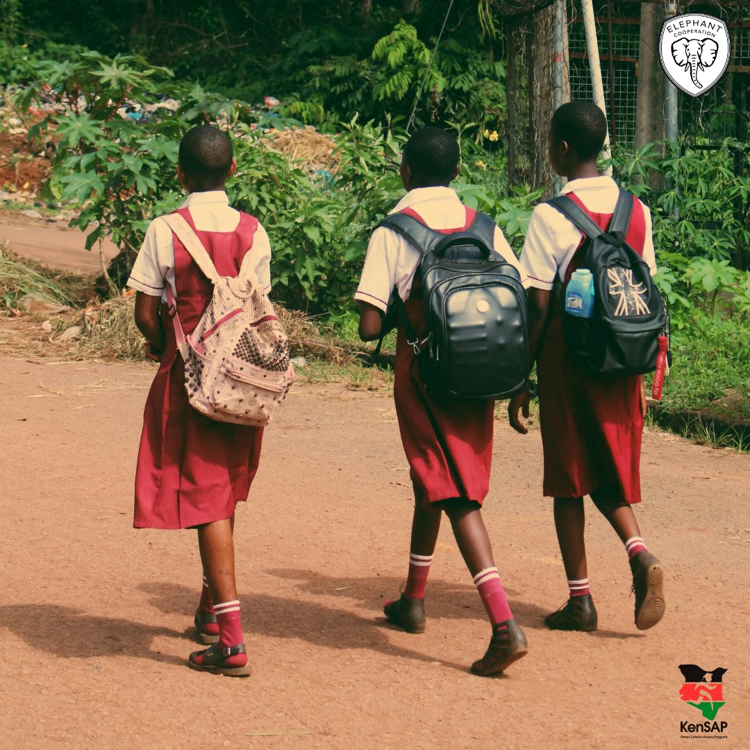 Elephant Cooperation tweet media