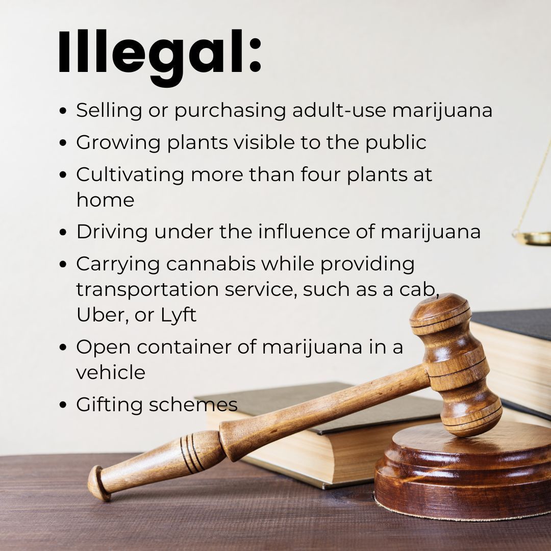 February is Marijuana Awareness Month 🌿If you choose to use cannabis, make sure you know the laws and use it responsibly. Visit the Virginia Cannabis Control Authority’s website to learn what’s legal—and what’s not—when it comes to cannabis in Virginia: tinyurl.com/VACCALegalvsIl…
