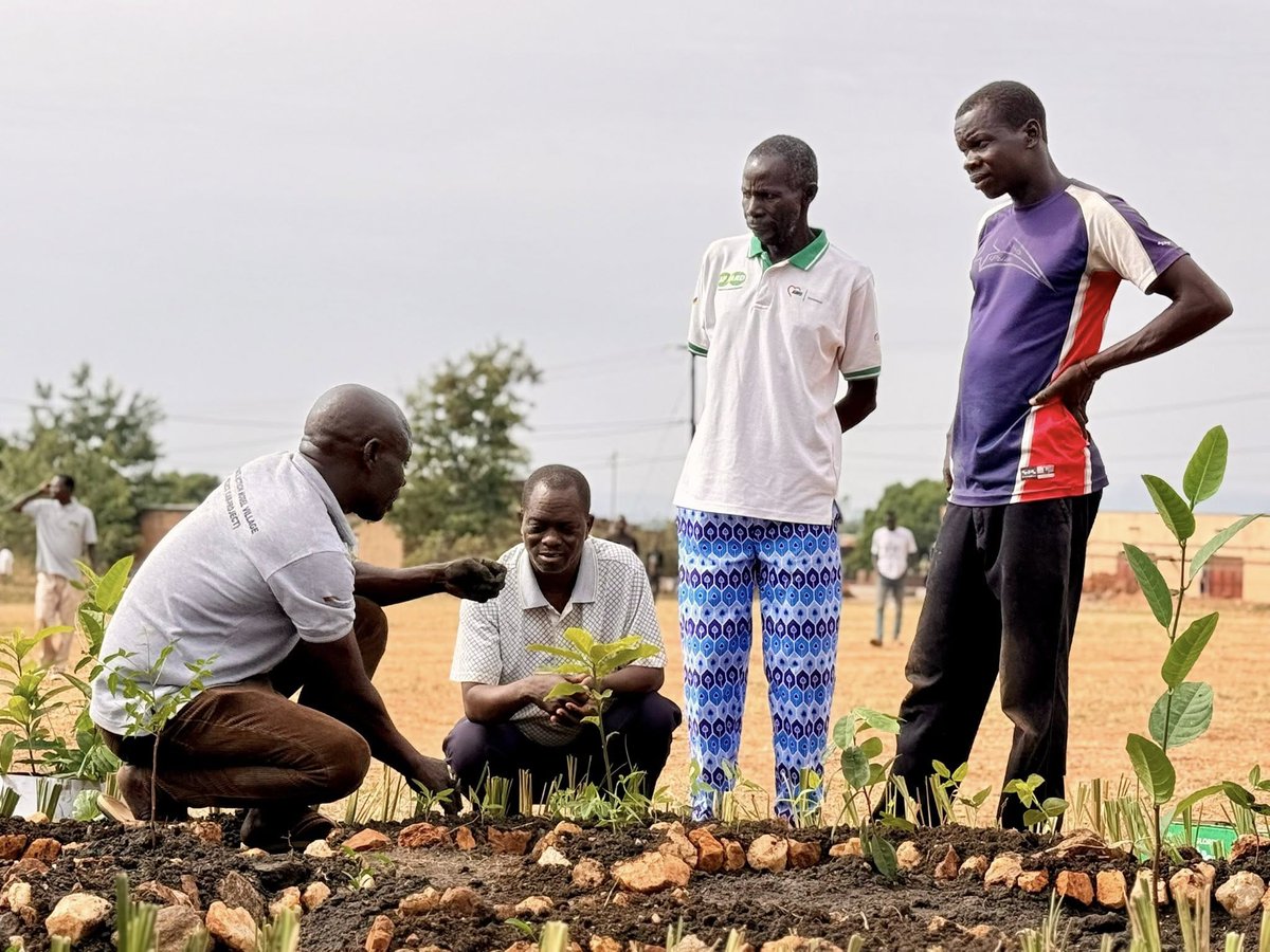 Agency for Accelerated Regional Development-AFARD tweet media