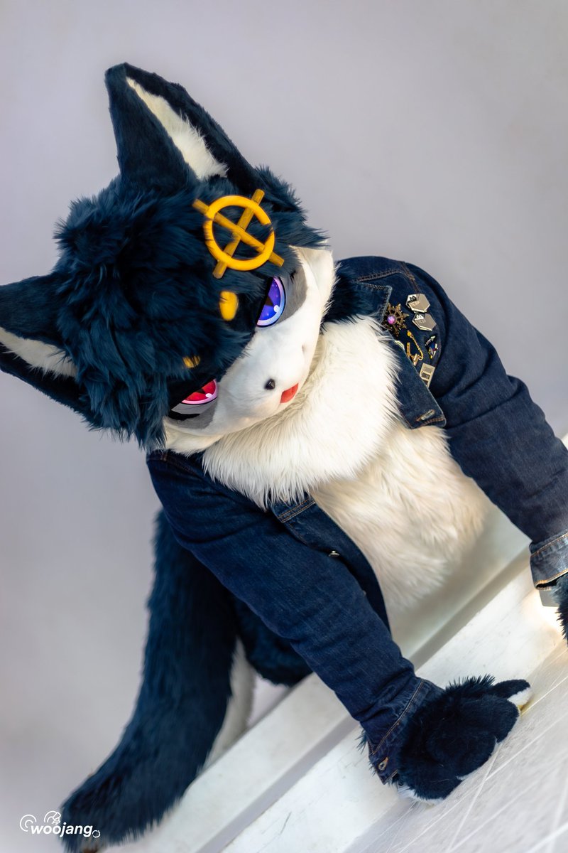 Compass Cat/argo tweet media