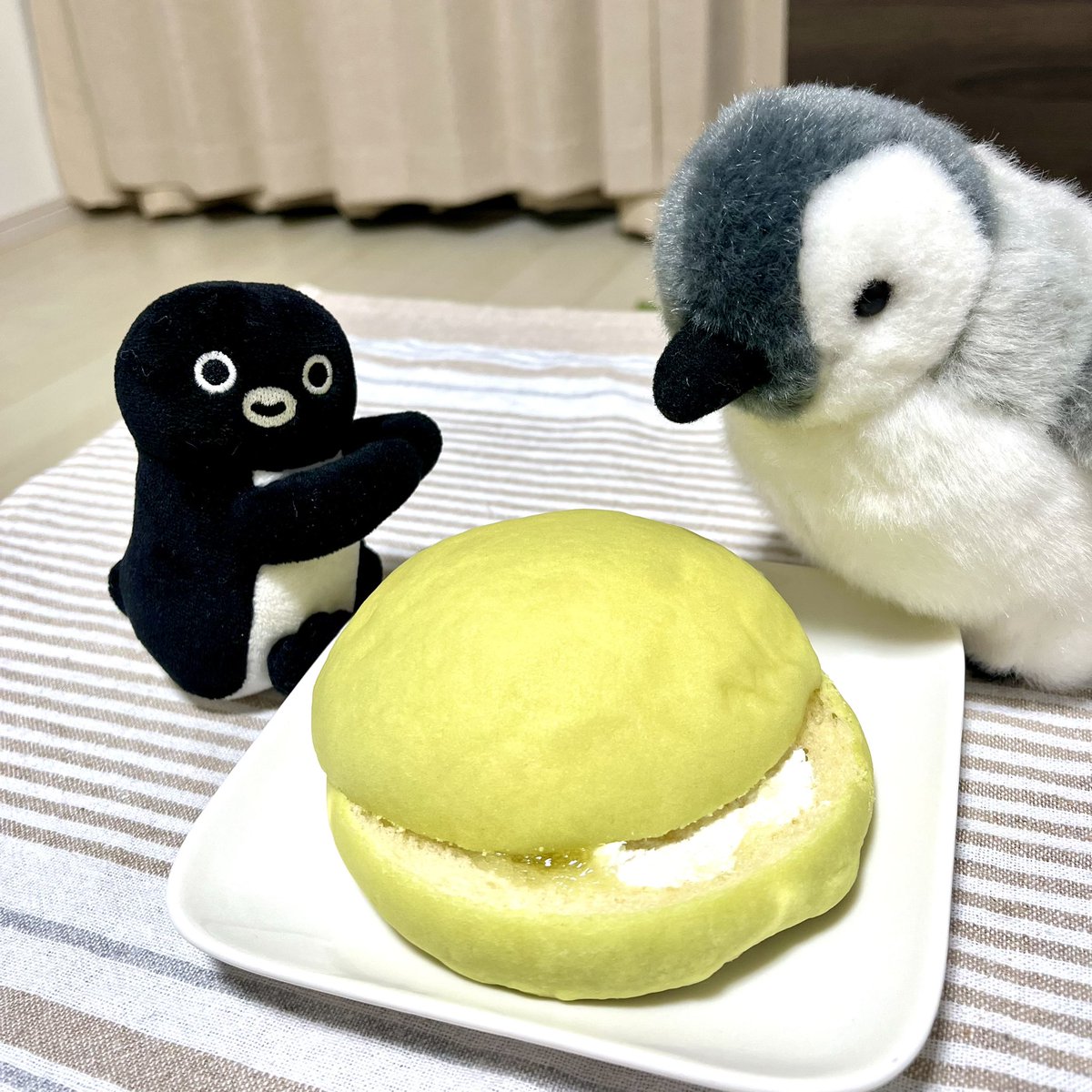 🐧🍈🍞🐧
お姉ペン、このみどり色の物体は何かわかる？
ペンちゃん、こ、こ、これはねアボカドだよ。ﾄﾞﾔ
ぶっぶーっw  めろんパンなんだよー))📢🐧