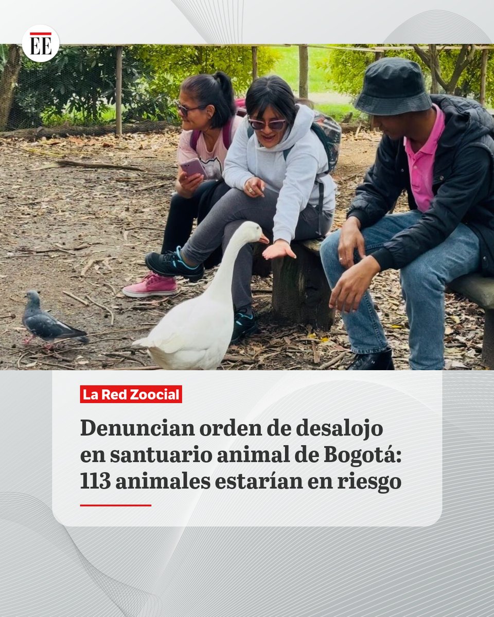 #EE | La senadora animalista Esmeralda Hernández denunció que la Alcaldía de Bogotá ordenó el desalojo de la Granja La Marielita.
ok.me/vnYO1👇🔗