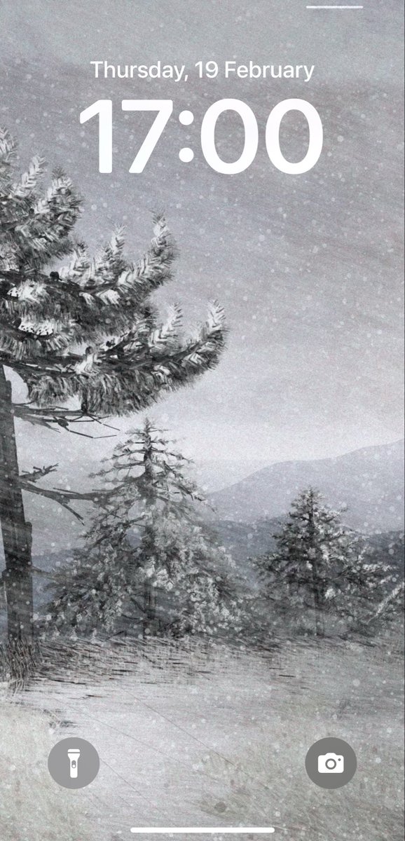 Qotonana tweet media